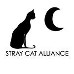 straycatalliance