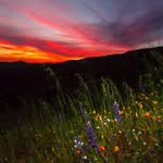 orangecountyoutdoors