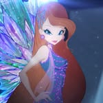 winxierai