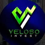 velosoinvest