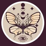 dluces.co