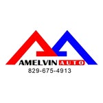 amelvinautord
