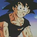 fansdedb