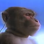 retromonkeymusic