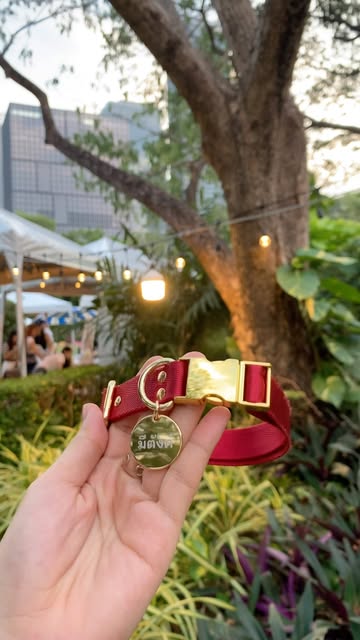 Pet collar with personalized name tag
📌For orders, Add Lin
