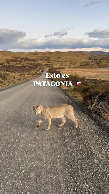 Patagonia ❤️
Torres del paine, Chile🇨🇱
Video @etpic