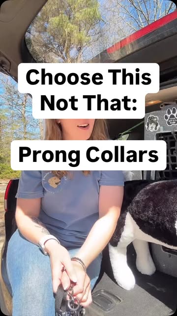 If you’re going to use a prong collar, make sure it’s the ri