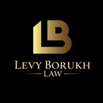 levy_borukh_law