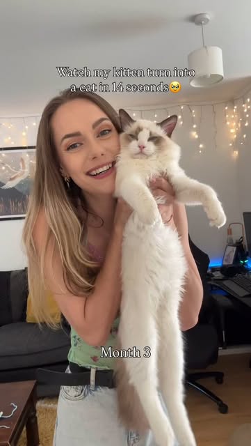 1 year of passing the ragdoll test🥹🥰
(Aside from month 7