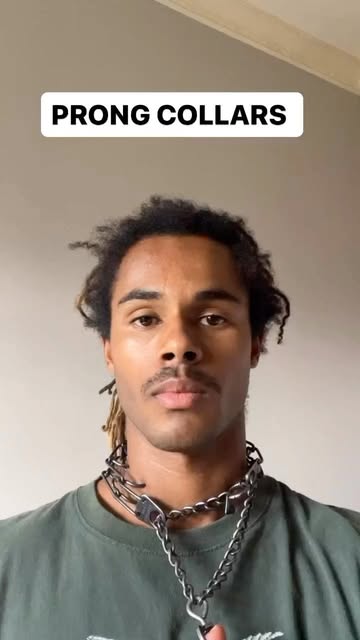 Prong collars do WAYYY more good than harm IN. MY. OPINION.
