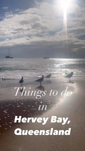 Things to do in Hervey Bay!
We had the best little girls g