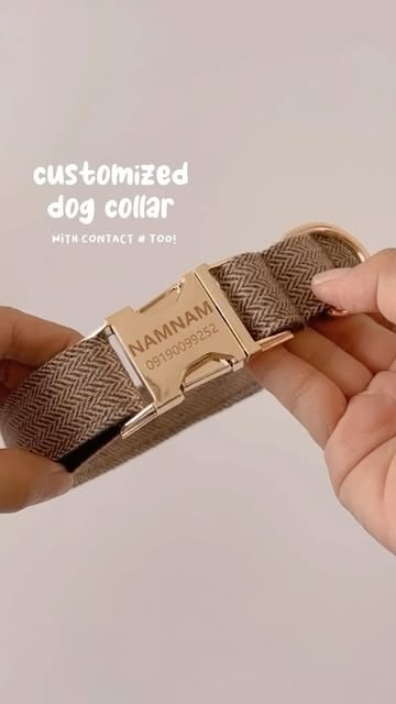 🐾🐶 Keep your furry friend safe and stylish with the Person
