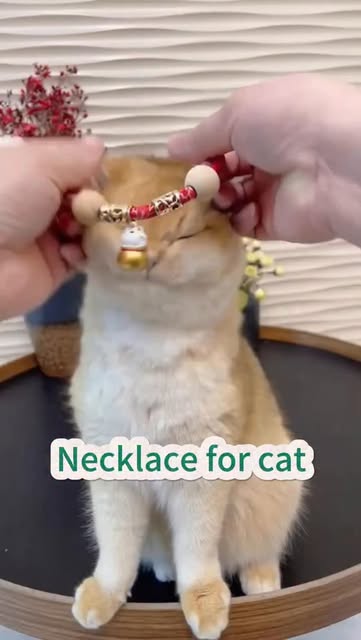 **🐾🔔 Keep Pests Away in Style!**
Say goodbye to fleas an