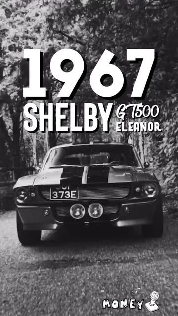 1967 SHELBY gt500 Eleanor🔥
.
.
.
.
tags: #fyp #fypシ #viral