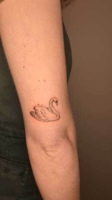 Forever love to tattoo swans
Booking January
.
.
.
.
.
.