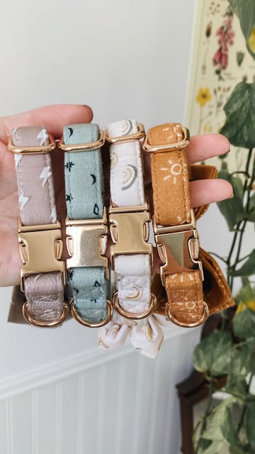 Here’s a closer look at our dog collars ✨
The the ultimate
