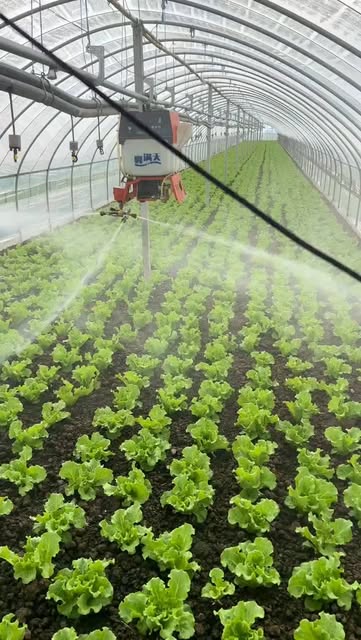Smart Agriculture and Greenhouse pulling pesticide spraye
ก