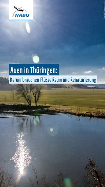 Flüsse brauchen Raum für ihre Auen! 🏞 Das ist der Aufruf de