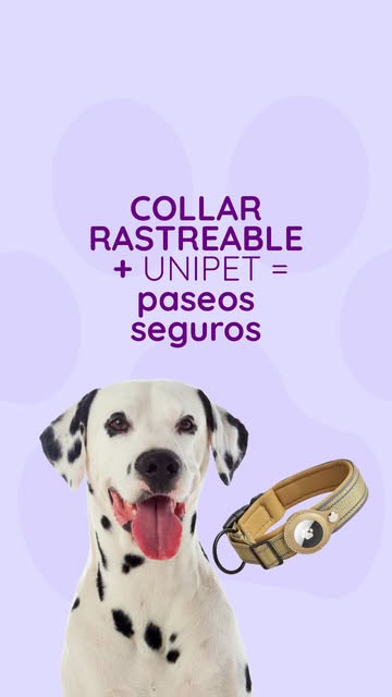 ¿Tu mascota es curiosa y le encanta explorar? 🐶😽 Con nuest