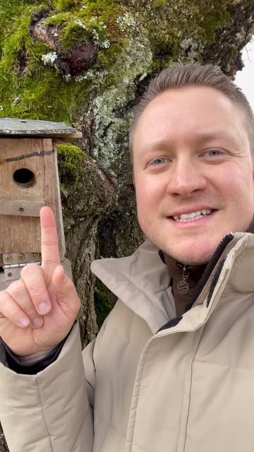 #savethebirds MACH MIT✌️ - Gib deinen Vögeln einen Lebensrau