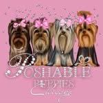 poshablepuppieschicago_