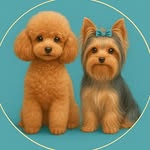 noble_pets_fl