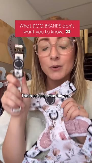 HARNESS vs. COLLAR 🤔
Which should you choose for YOUR dog