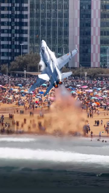Spanish F/A-18 saving the day after trying to avoid a flock