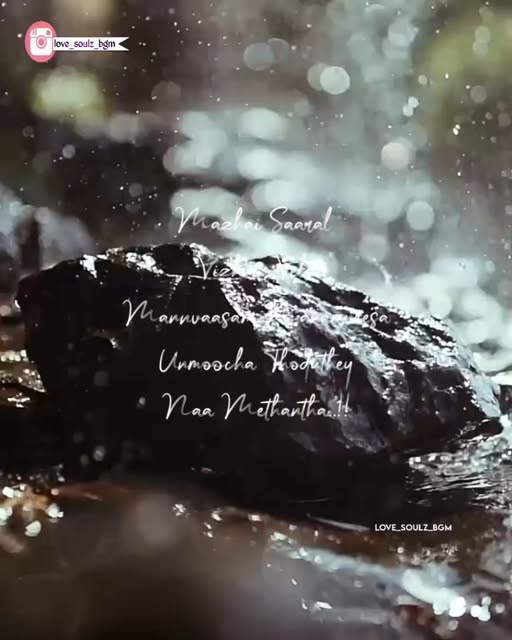 ❣️
Follow @love_soulz_bgm
.
.
#tamilalbumsongs #tamilmotiva