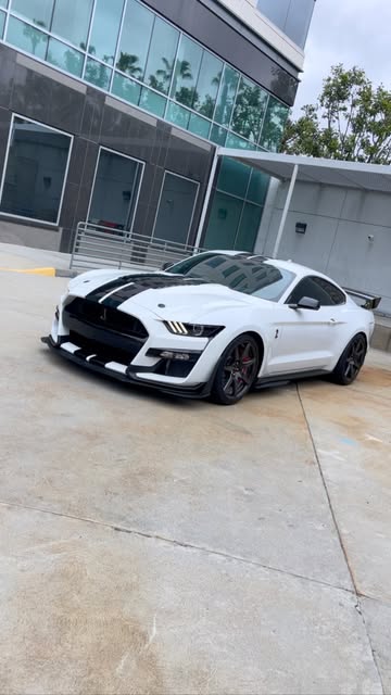 They thought I was playinβ¦.
PARTNERS:
@project6gr_wheels [w