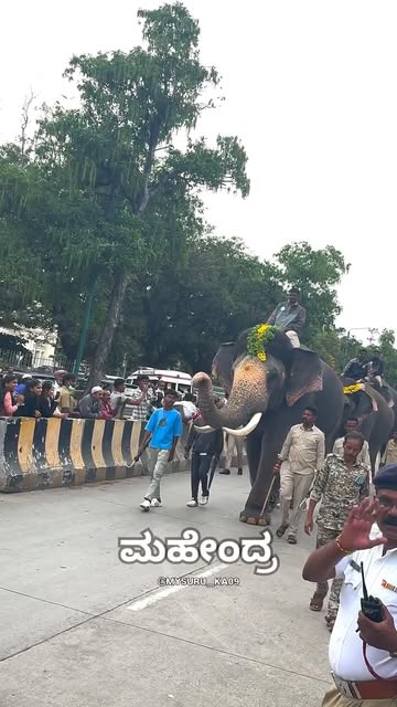 Mahindra🐘❤️🔥
ಮೈಸೂರು ದಸರಾ 2025ಗಜಪಯಣ❤️🔥
Follow us on @my