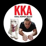 kralailesi
