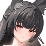 miyabi_no_hime