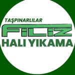 filizhaliiyikamakonya42