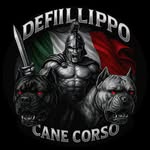 defillippo_canecorso