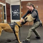 dogsandtraining