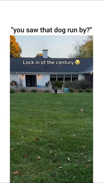 😭😭😭
.
.
.
DM for credits or content removal