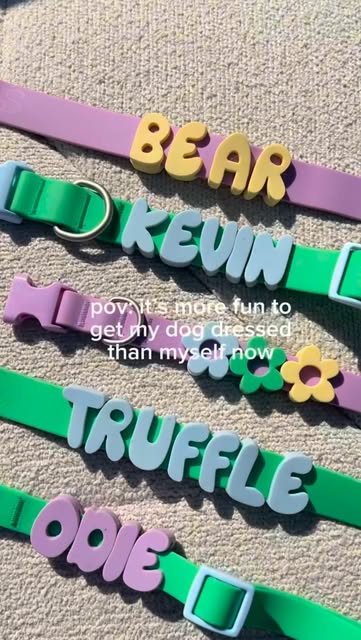 Let’s face it…. Our dogs collar line up is officially better