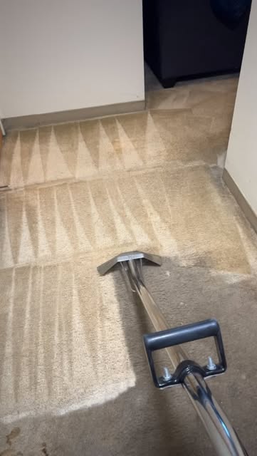 Revive your space with our expert carpet cleaning services!