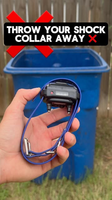 Shock collars are cruel 😡⚡️❌
.
.
.
Is what people who don’