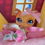 lps.eviee