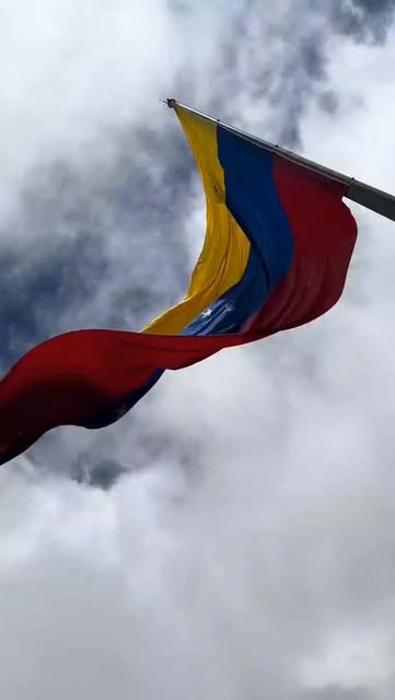 La República Bolivariana de Venezuela inicia el nuevo año co