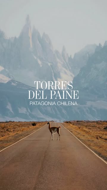 Les dejamos nuestros imperdibles para recorrer el Parque Nac