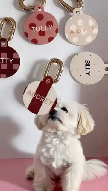 Cute Tags for Cool Dogs ✨🐶
#dog #dogtags #petaccessorıes