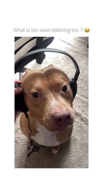 He locked into nothing 😂
Via: tt/anttywoahtwin
Like & follo