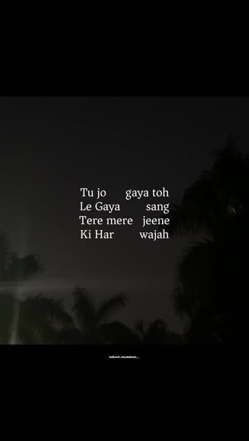 Tu jo Gaya …❤️🩹
.
.
.
.
.
.
.
#innerthoughts #saiyara #tru