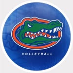 gatorsvb