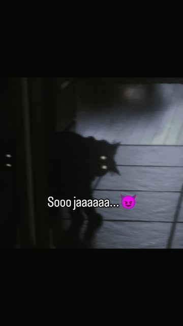 Soo ja....
#reels #instareels #trending
#cat #viralreels