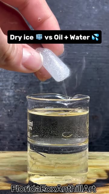 Dry ice 🧊 vs Oil + Water 💦 #Satisfying #Experiment #Scienc