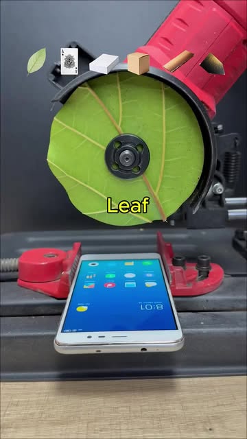 Which one can cut Xiaomi Phone?#satisfying #experiment #usa